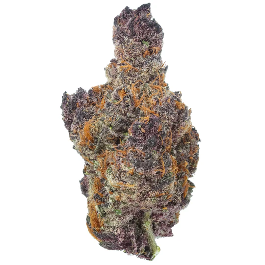 black-cherry-gelato-flower_540x.webp