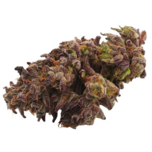 hybrid_1072832198.webp
