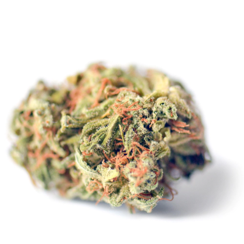 indica-dominant-hybrid_1067340854.webp