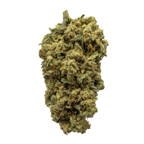 indica-dominant-hybrid_2033256143.webp