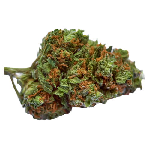 indica-dominant-hybrid_534528868.webp