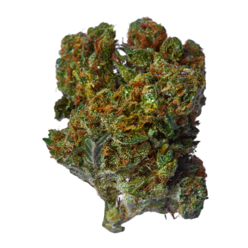 indica-dominant-hybrid_596268842.webp