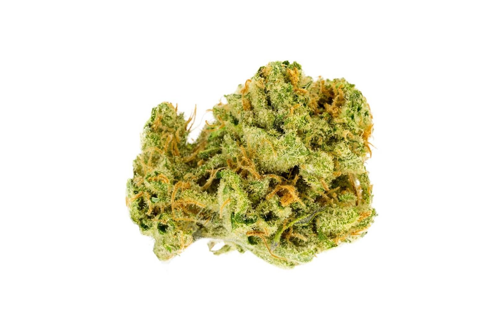 lemon-haze-strain-picture-1.jpg