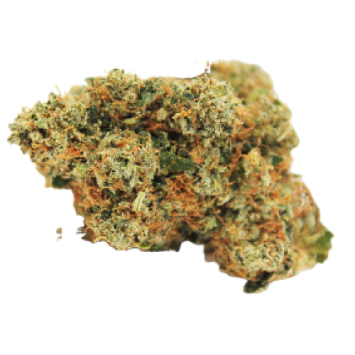 sativa-dominant-hybrid_1243435954.webp