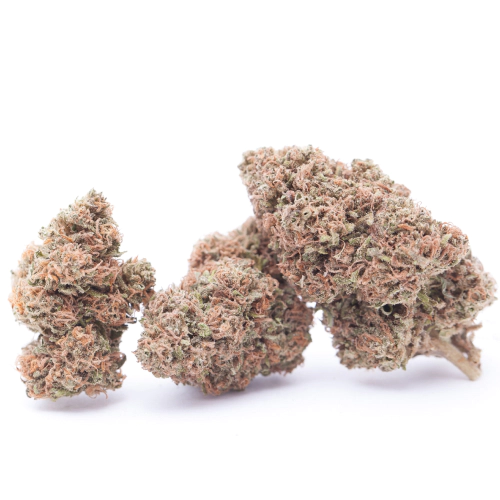 sativa-dominant-hybrid_576305830.webp